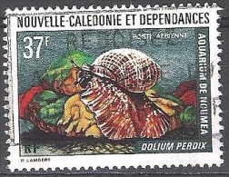 Nouvelle-Calédonie 1974 Yvert Poste Aérienne 152 O Cote (2015) 3.20 Euro Mollusque Dolium Perdix - Usati