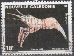 Nouvelle-Calédonie 1989 Yvert 576 O Cote (2015) 0.50 Euro Faune Marine Plesionika Sp. Cachet Rond - Gebruikt