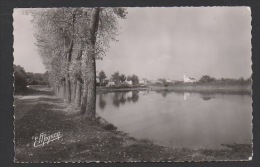 DF / 28 EURE ET LOIR / LA LOUPE / L'ETANG DU GASLOUP / CIRCULÉE EN 1955 - La Loupe