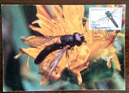 ACORES PORTUGAL Insectes, Insecte, Yvert N° 359 FDC, Carte Maximum - Other & Unclassified