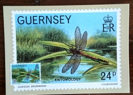 GUERNESEY Insectes, Insecte, Yvert N° 250 FDC,  Carte Maximum (libellule) - Other & Unclassified