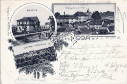 Gruss Aus RODA Sachsen Altenburg Stadtroda Braun Litho Vorläufer 19.8.1896 Gelaufen - Stadtroda
