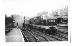 LOCOMOTIVE ELECTRIQUE Photographie Format Cpa Deltic Gros Plan - Matériel