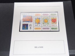 IRLANDE-  Bloc Luxe Avec Texte Explicatif - Belle Qualité - À Voir -  N° 11614 - Blokken & Velletjes