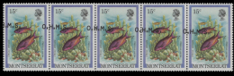 MONTSERRAT 1981 Hogfish Fish 15c 5-STRIP OVPT:OHMS ERROR:shift     [Fehler,erreur,errore,fout] - Montserrat
