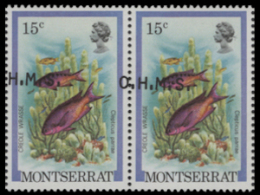 MONTSERRAT 1981 Hogfish Fish 15c PAIR OVPT:OHMS ERROR:shift     [Fehler,erreur,errore,fout] - Montserrat