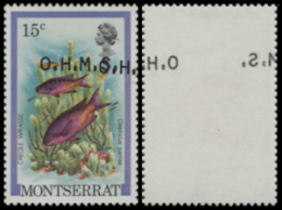 MONTSERRAT 1981 Hogfish Fish 15c OVPT:2x OHMS One ERROR:shift Rev.       [Fehler,erreur,errore,fout] - Montserrat