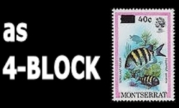 MONTSERRAT 1983 Sergeant Major Fish 40c On 25c ERROR:on Wrong Val.4-BLOCK      [Fehler,erreur,errore,fout] - Montserrat