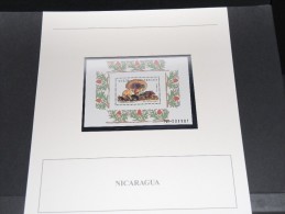NICARAGUA - Bloc Luxe Avec Texte Explicatif - Belle Qualité - À Voir -  N° 11665 - Nicaragua