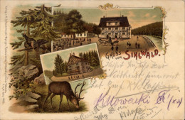 Sihlwald  Restaurant Litho - Wald