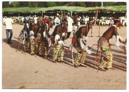 AFD.0213/ Maiduguri Dancers - North-Eastern State - Nigeria