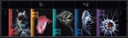 USA Fünferstreifen Mi. Nr. 3379-3383 ** Eckrand Rechts (A-1-48) - Unused Stamps