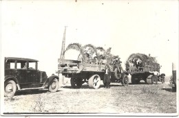 CPA PHOTO . FETE DANS LES BOIS A SAIDA - Saida