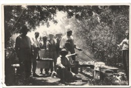 CPA PHOTO . FETE DANS LES BOIS A SAIDA - Saida