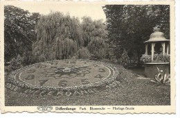 DIFFERDANGE  PARK  BLUMENUHR  -  HORLOGE FLEURIE - Differdange