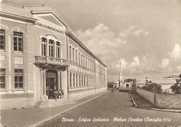 Bitonto(Bari)-Edificio Scolastico-1950 - Bitonto