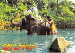 Asie > SRI LANKA  - ELEPHANT Bath  KANDY (LALITH DE SILVA  70062 )*PRIX FIXE - Sri Lanka (Ceilán)