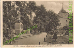 ZITTAU Park Mit König Albert Denkmal Stadtgärtnerei + Blumenuhr 25.2.1913 Gelaufen - Zittau