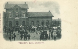 Torhout - Marché Aux Chevaux  + De Statie - 1908 ( Verso Zien ) - Torhout