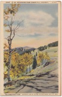 MT. WASHBURN FROM TOWER FALL HIGHWAY, Unused Linen Postcard [16811] - USA National Parks