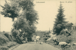 BE LIBRAMONT CHEVIGNY / Route De Pâture / - Libramont-Chevigny
