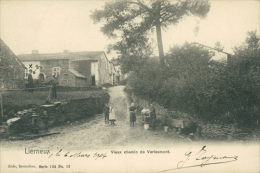 BE LIERNEUX / Chemin De Verleumont / - Lierneux