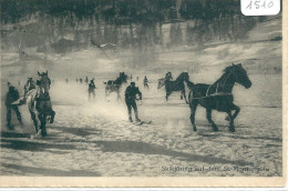 SUISSE SKI SPORT SKIKJORING CHEVAL CHEVAUX KILCHBERG TIMBRE TAXE - Kilchberg