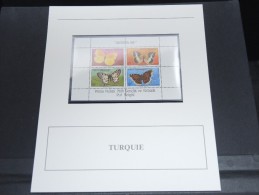 TURQUIE - Bloc Luxe Avec Texte Explicatif - Belle Qualité - À Voir -  N° 11759 - Blocks & Kleinbögen