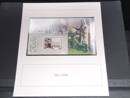 IRLANDE - Bloc Luxe Avec Texte Explicatif - Belle Qualité - À Voir -  N° 11813 - Blokken & Velletjes