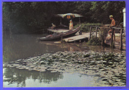 Carte Postale 62. Ardres  Les Pêcheurs Du Lac   Trés Beau Plan - Ardres
