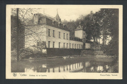 CPA - CELLES - Château De La Cazerie - Nels  // - Celles