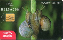 Escargot  Snail  Animal Télécarte Telefonkarten Phonecard R131 - Sin Clasificación