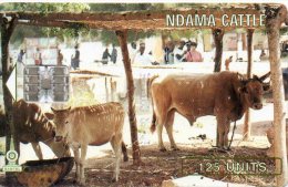 Vache Cow Télécarte GAMBIE Phonecard  Telefonkarten R134 - Gambia