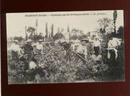 33 Gradignan Orphelinat Agricole St François Xavier Les Jardiniers édit. Chambon école Agriculture - Gradignan