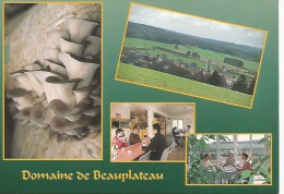 Beauplateau Tillet - Sainte-Ode