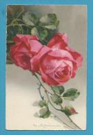 CPA 2467 - II Fantaisie Fleurs Roses Illustrateur Catharina KLEIN - Klein, Catharina