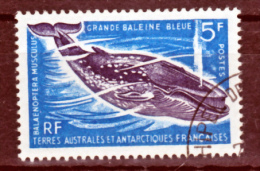 TAAF 22 Baleine Bleue 25% De Cote   Oblitéré Used Crozet Cote 16 - Gebruikt