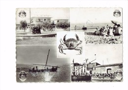 Delcampe - 34 - MARSEILLAN - Multivues - Crabe - N° 1112 Pagès - - Marseillan
