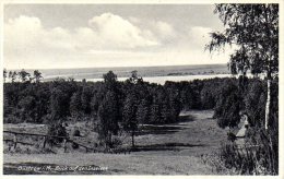 Güstrow - S/w Blick Auf Den Inselsee - Güstrow