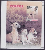 2006.391 CUBA 2006 MNH SPECIAL SHEET IMPERFORATED PROOF PERROS DOGS WHIPPET. - Ongebruikt
