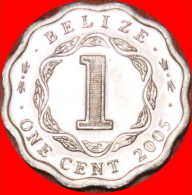 § SCALLOPED: BELIZE ★ 1 CENT 2005 MINT LUSTER! LOW START ★ NO RESERVE! - Belize