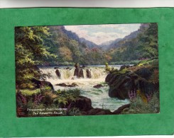 The Cenarth Falls Cardiganshire Oilette 7742 Raphael Tuck & Sons (Wales) - Cardiganshire