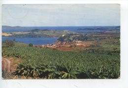 Martinique : Baies De Trinité Et Du Galion (n°94 Rose Rostte) - La Trinite