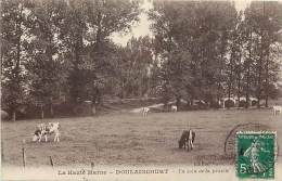 - Haute Marne - Ref-52596 - Doulaincourt -un Coin De La Prairie  - Carte Bon Etat - - Doulaincourt