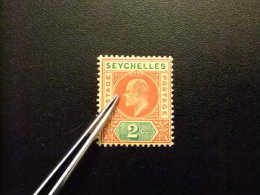 SEYCHELLES 1903 Yvert Nº 38 * MH EDOUARD VII SG Nº 46 * MH - Seychellen (...-1976)