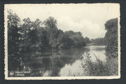 CPA - DONGELBERG - L'Etang - Nels  // - Geldenaken