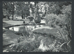 CPA - CARLSBOURG - Etablissement St Joseph - Le Parc Et Les Cygnes - CPSM - Nels Photothill  // - Paliseul