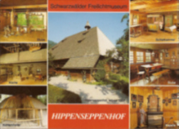Gutach - Freilichtmuseum Hippenseppenhof 1 - Gutach (Schwarzwaldbahn)