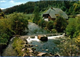 Gutach - Schwarzwald Idyll An Der Gutach 2 - Gutach (Schwarzwaldbahn)