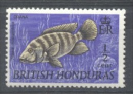 British Honduras 1969 Fish, MNH AE.253 - Honduras Britannico (...-1970)